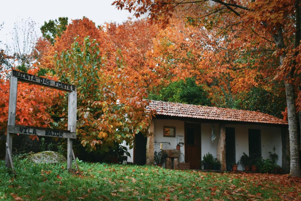 Quinta Das Fontes - Alojamento Rustico Local E Turismo Rural São Pedro do Sul Exterior foto